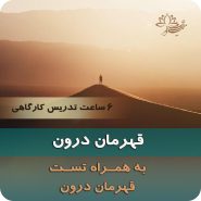 دوره قهرمان درون پروفسور یونگ نیلوفر مظفری
