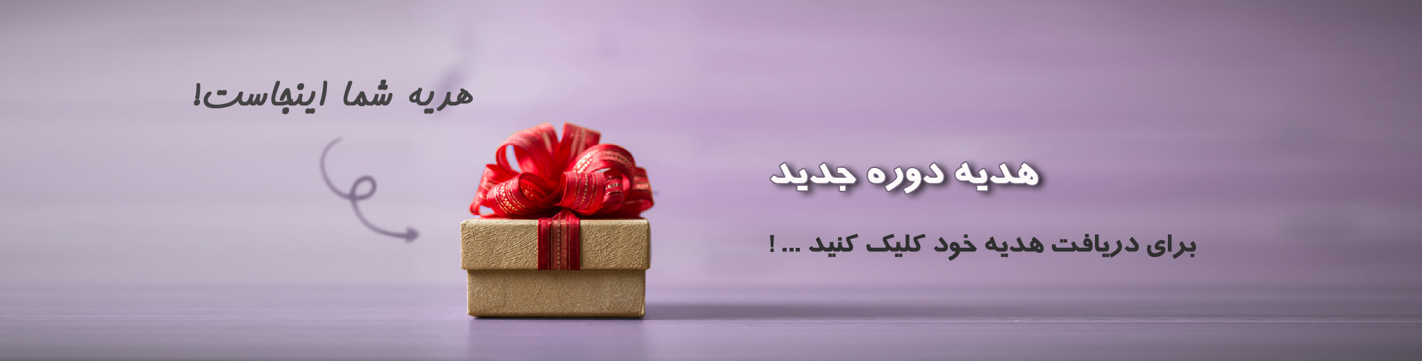 هدیه درس رایگان، نیلوفر مظفری