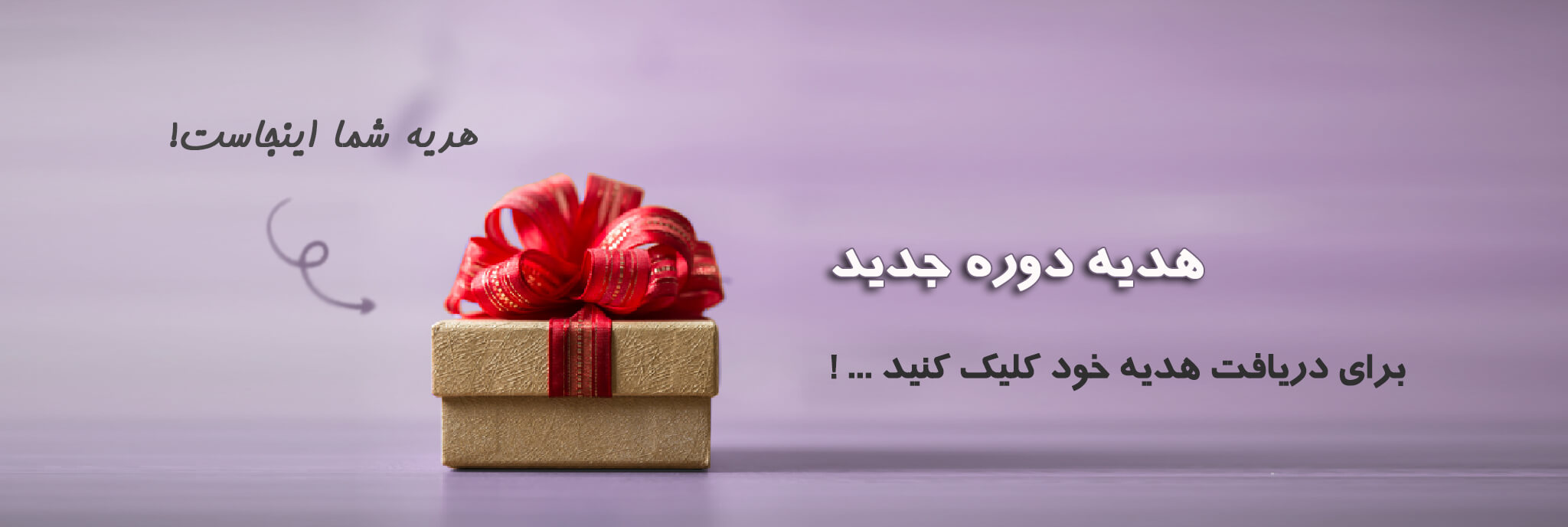 هدیه درس رایگان، نیلوفر مظفری